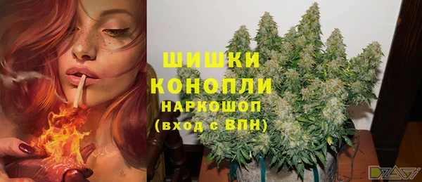 соль ск Лагань