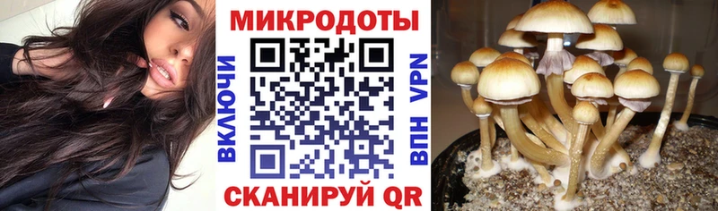 Псилоцибиновые грибы прущие грибы  где можно купить   нарко площадка официальный сайт  Таганрог 
