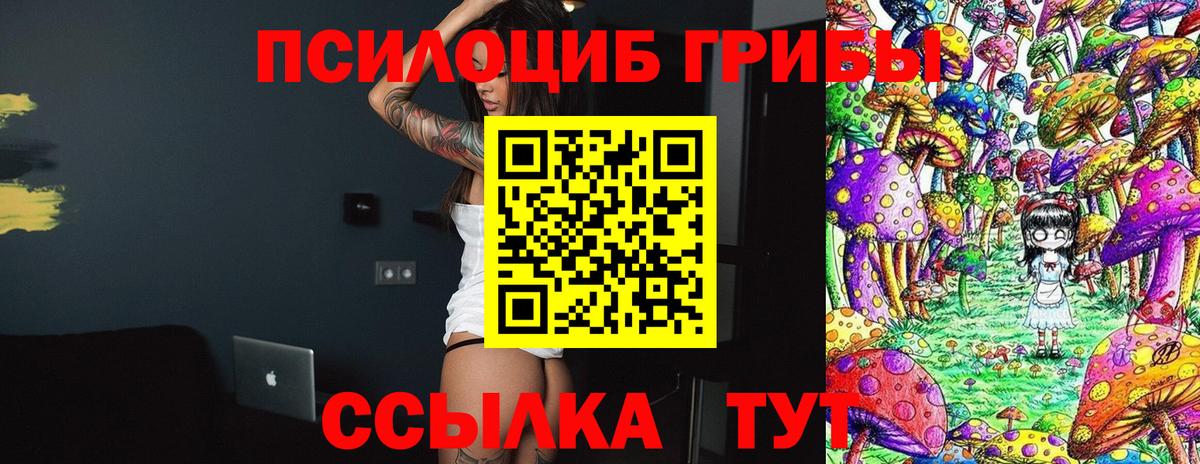 Галлюциногенные грибы GOLDEN TEACHER  Вход с VPN  Псилоцибиновые грибы Psilocybe  Таганрог 